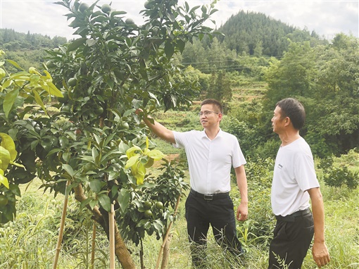 吴坚(左)进村走访。.jpg 吴坚(左)进村走访。.jpg