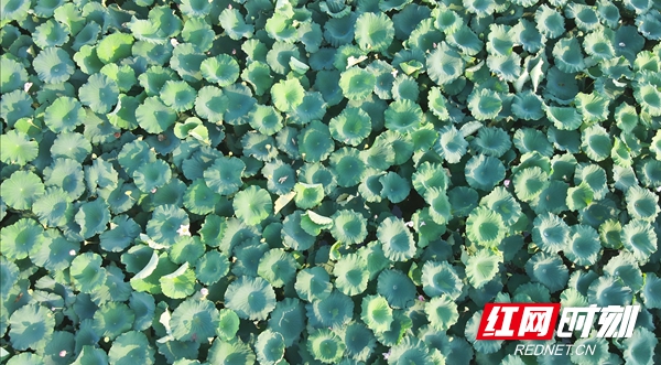 微信图片_20230815173523.jpg 微信图片_20230815173523.jpg