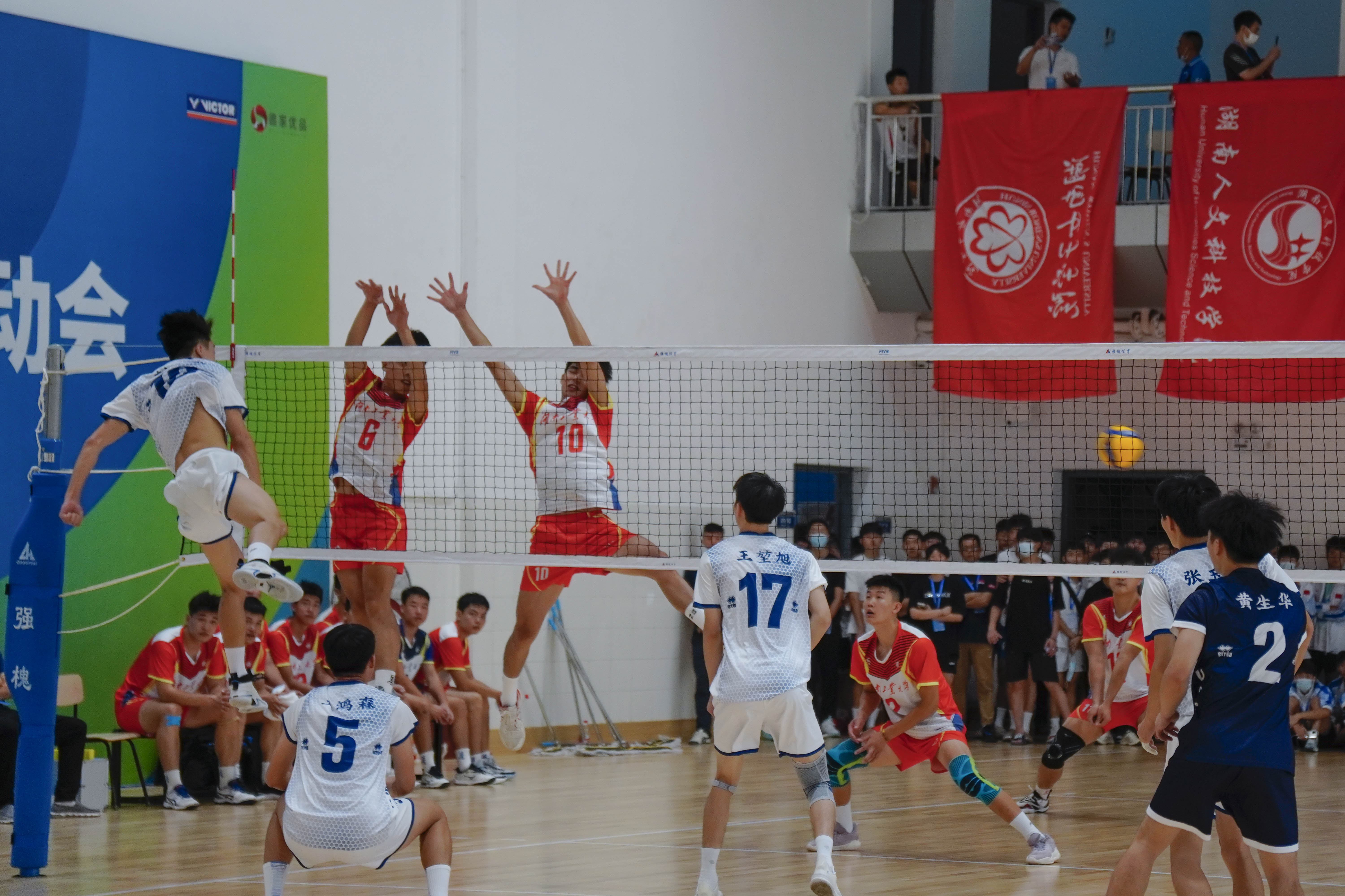 比赛进行中 明尼苏达森林狼实时比分追踪 助你掌握每一分变化