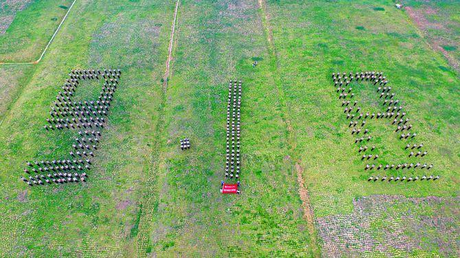 B11894158BE061297D7D89B7DFD_505A15C2_1BFEB5 B11894158BE061297D7D89B7DFD_505A15C2_1BFEB5