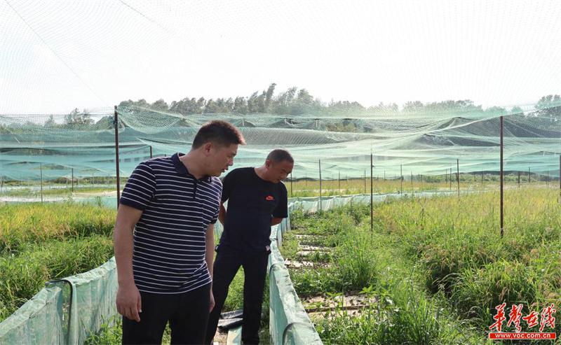 1689238781956248.jpg 1689238781956248.jpg