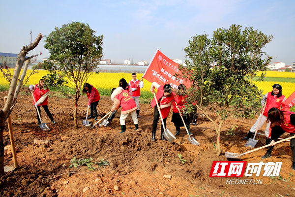 图片3_副本.png 图片3_副本.png