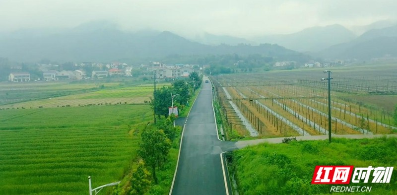 图片1.jpg 图片1.jpg